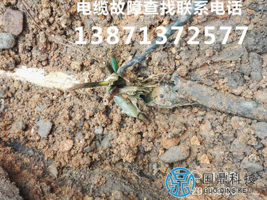 浙江电缆故障查找结果