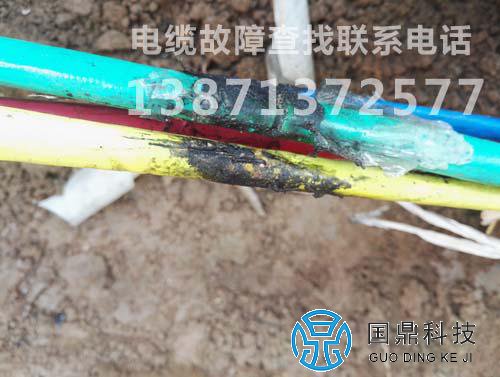 查找电缆的结果