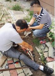 电力电缆故障